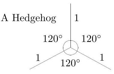 A diagram of a 'Hedgehog' consisting of three unit-length segments joined at a common point, with 120 degree angles between each pair of segments.