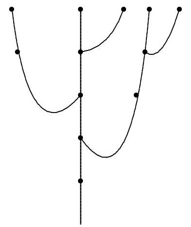 A branching diagram showing the growth of a tree with several nodes and branches, illustrating the number of branches after 5 weeks.