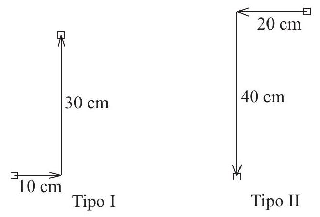 Two diagrams showing the frog's jumps: Tipo I is a vector 10 cm east and 30 cm north; Tipo II is a vector 20 cm west and 40 cm south.
