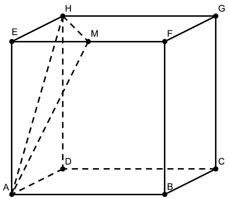 A labeled cube ABCDEFGH with point M marked as the midpoint of edge EF, and relevant vertices and edges highlighted.