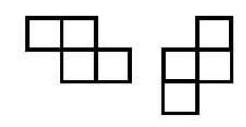 Two Z-shaped tetrominoes formed from four squares each, shown in different orientations.