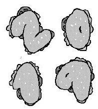 Four sandwiches shaped like the digits 2, 0, 1, and 9 arranged on a plate.